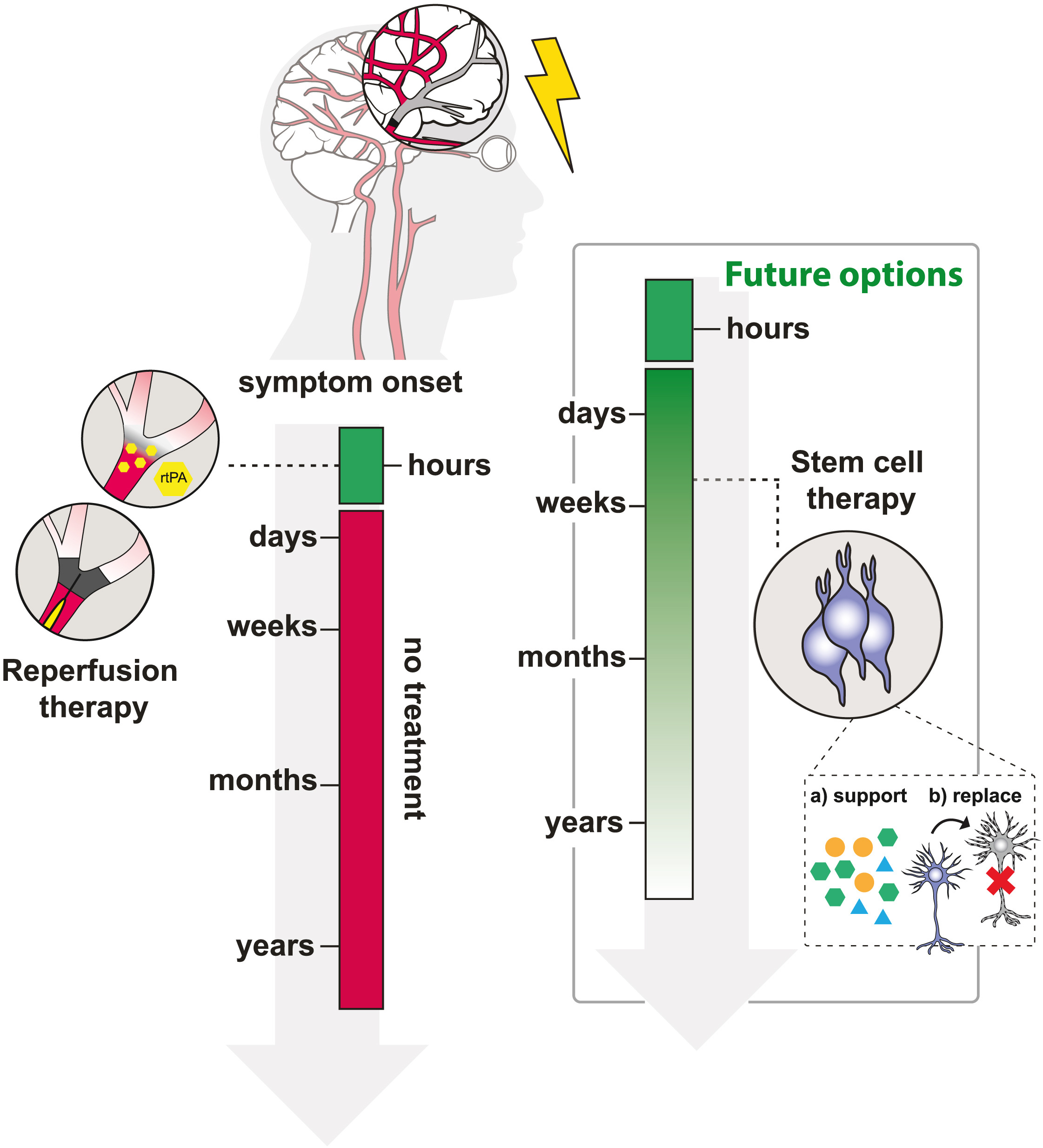 圖1:治療缺血性中風的現有和未來選擇 圖1:治療缺血性中風的現有和未來選擇