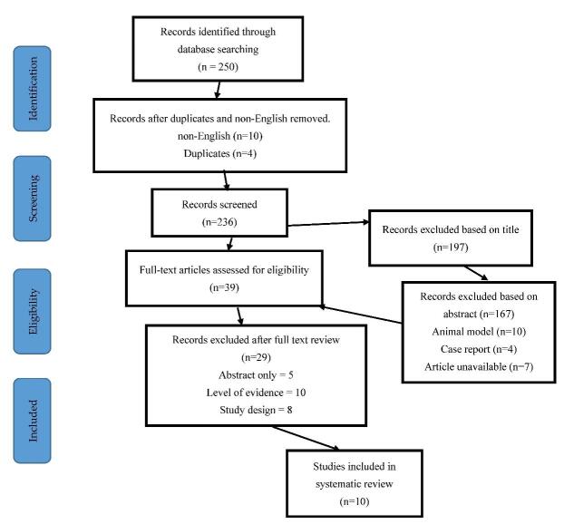圖1：研究識別和選擇的流程圖-PRISMA圖（PRISMA，系統(tǒng)評價和薈萃分析的首選報告項目）。