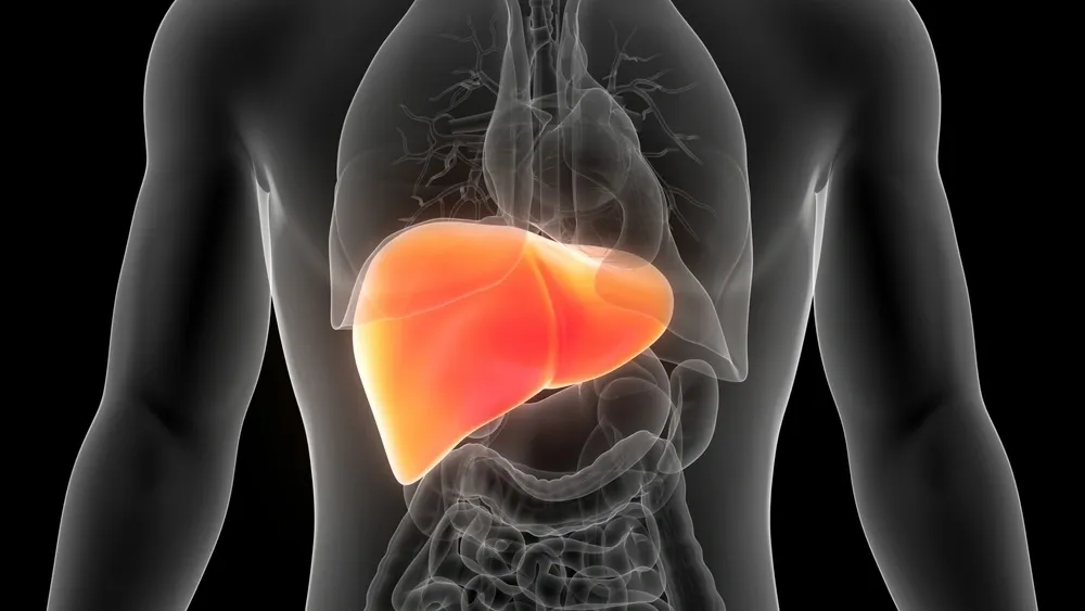 2025年1-10月干細(xì)胞治療肝衰竭的臨床最新進(jìn)展指南