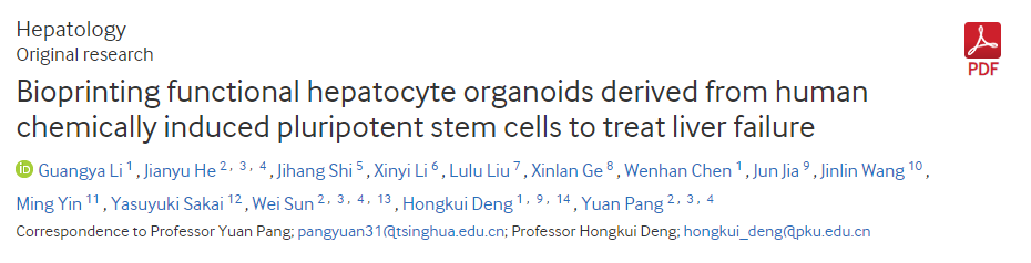 生物打印源自人類(lèi)化學(xué)誘導(dǎo)多能干細(xì)胞的功能性肝細(xì)胞類(lèi)器官以治療肝功能衰竭