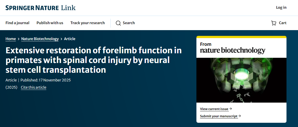 通過神經干細胞移植,靈長類動物脊髓損傷后前肢功能得到廣泛恢復 通過神經干細胞移植,靈長類動物脊髓損傷后前肢功能得到廣泛恢復
