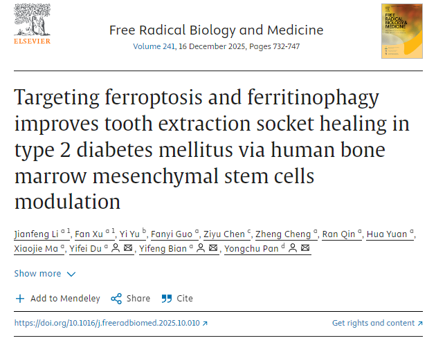 通過(guò)調(diào)控人骨髓間充質(zhì)干細(xì)胞，靶向鐵死亡和鐵蛋白自噬可改善2型糖尿病患者拔牙窩的愈合。
