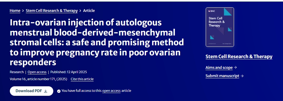 卵巢內注射自體月經血來源的間充質基質細胞：一種安全且有前景的提高卵巢反應不佳者妊娠率的方法