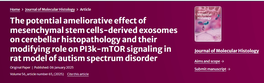 間充質(zhì)干細胞衍生的外泌體對自閉癥譜系障礙大鼠小腦組織病理學(xué)的潛在改善作用及其對 PI3k-mTOR 信號傳導(dǎo)的調(diào)節(jié)作用