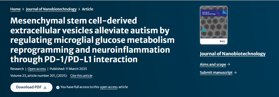 間充質(zhì)干細胞衍生的細胞外囊泡通過 PD-1/PD-L1 相互作用調(diào)節(jié)小膠質(zhì)細胞葡萄糖代謝重編程和神經(jīng)炎癥，從而緩解自閉癥