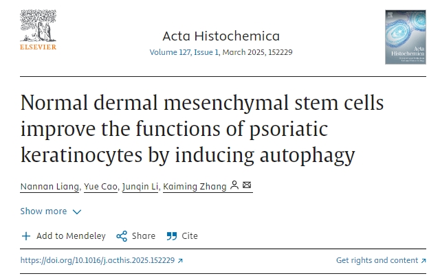 正常真皮間充質(zhì)干細(xì)胞通過誘導(dǎo)自噬改善銀屑病角質(zhì)形成細(xì)胞的功能