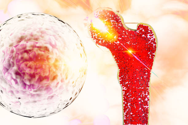 干細(xì)胞移植對捐獻(xiàn)者身體有害嗎？2025年醫(yī)學(xué)真相大揭秘（附捐獻(xiàn)者自述）