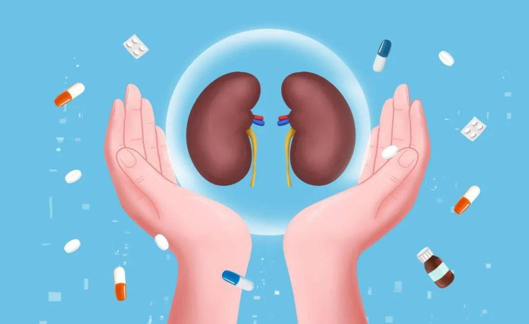 干細(xì)胞治療腎病國家叫停了？科學(xué)爭議與政策博弈背后的真相