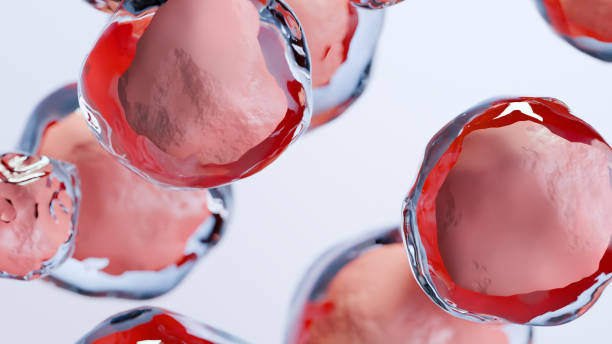 臍帶血干細胞移植的優缺點有哪些：30kg以下首選，成人應用存在瓶頸