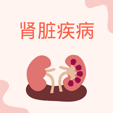 干細(xì)胞治療腎病：什么時候進(jìn)入臨床？