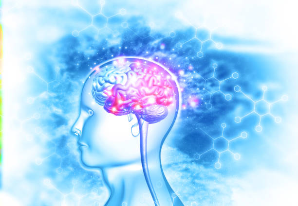 腦出血治療新希望：間充質(zhì)干細胞治療臨床安全有效？最新證據(jù)來了