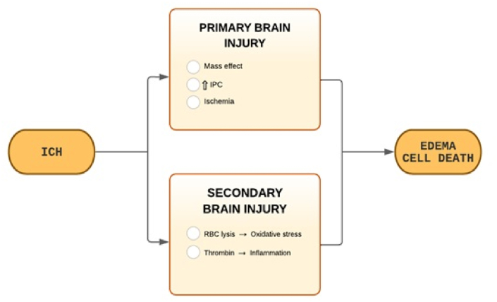 圖1：ICH病理生理學。
