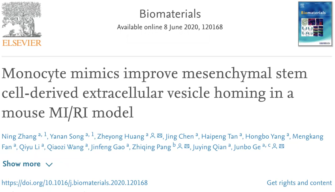 單核細胞仿生物修飾間充質干細胞外囊泡改善其對小鼠心肌缺血再灌注損傷的歸巢