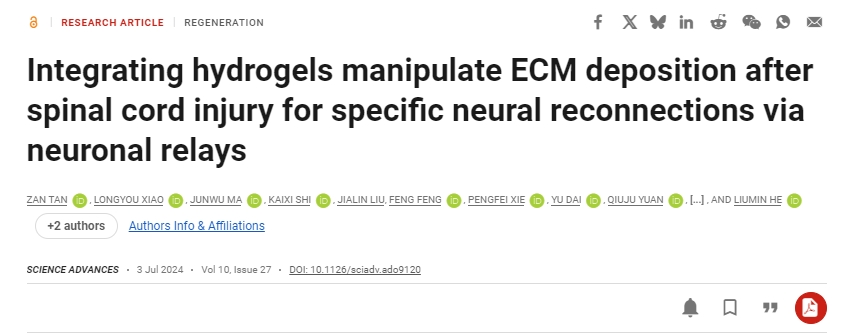 整合水凝膠可控制脊髓損傷后的ECM沉積，從而通過神經元中繼實現特定的神經重新連接