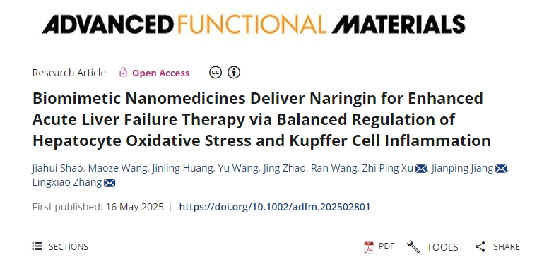 仿生納米藥物遞送柚皮苷，通過平衡調節肝細胞氧化應激和庫普弗細胞炎癥來增強急性肝衰竭治療