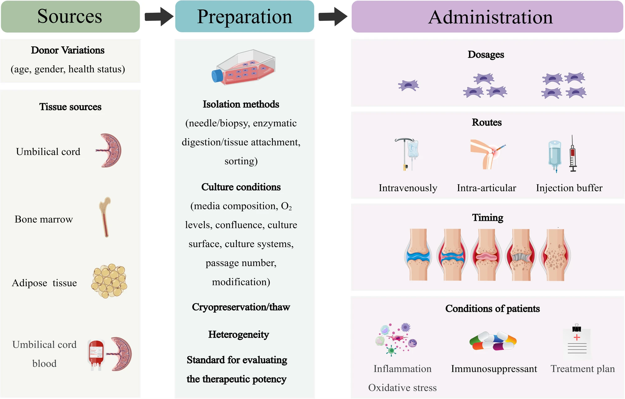 圖6：MSCs在類風濕性關節炎的臨床應用中，需要精確地標準化參數。