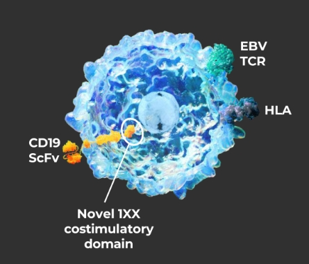 ATA3219設(shè)計圖