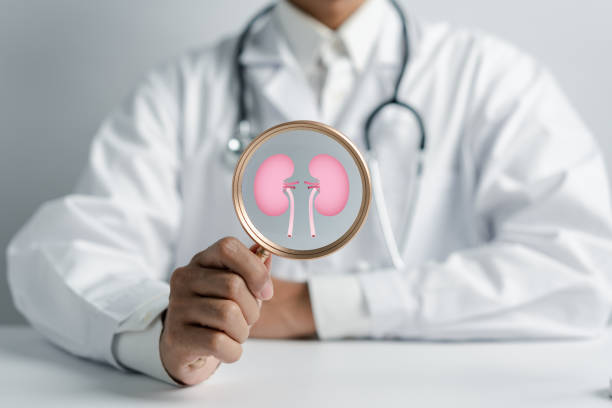 動(dòng)脈內(nèi)輸注間充質(zhì)干細(xì)胞治療糖尿病腎病，腎功能衰退顯著減緩