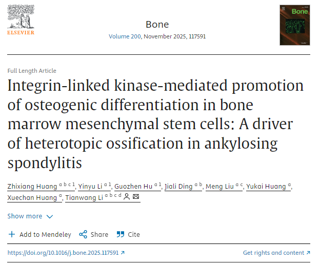 整合素連接激酶介導促進骨髓間充質干細胞成骨分化：強直性脊柱炎異位骨化的驅動因素