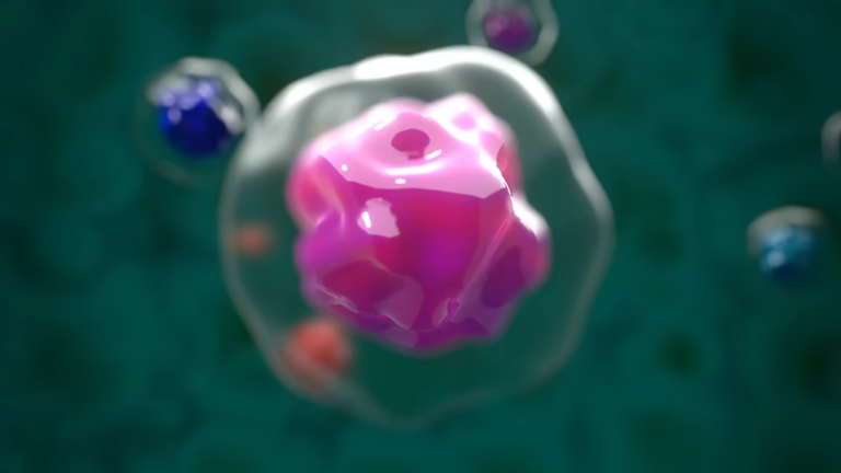 重磅解讀：干細胞如何修復1型糖尿病？3大核心作用機制全解析