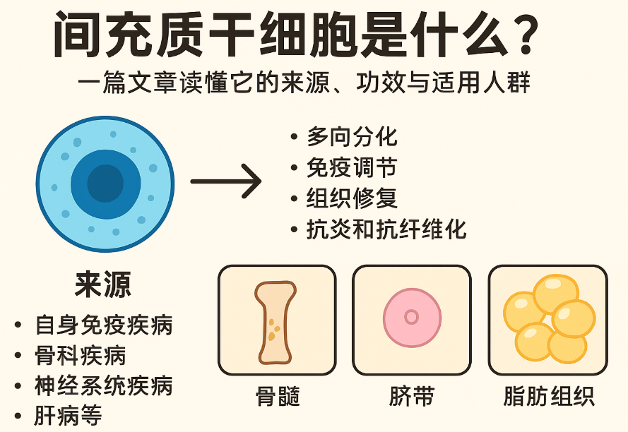 間充質干細胞是什么？一篇文章讀懂它的來源、功效與適用人群