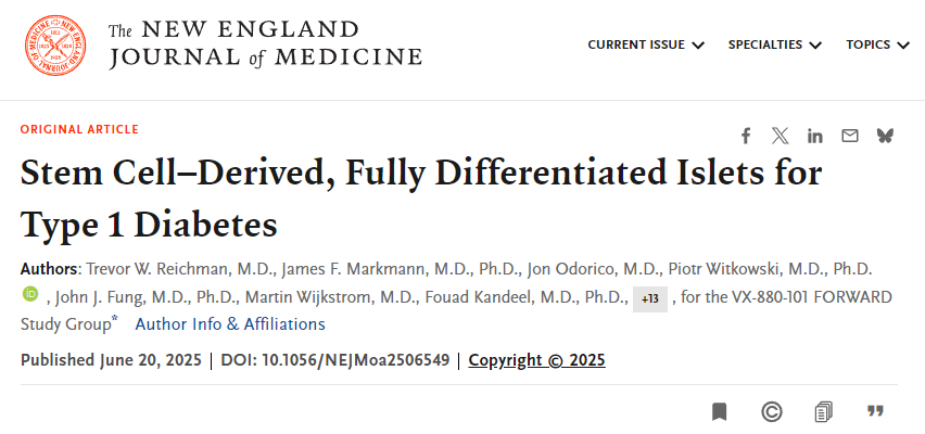 干細(xì)胞來(lái)源的完全分化胰島用于1型糖尿病