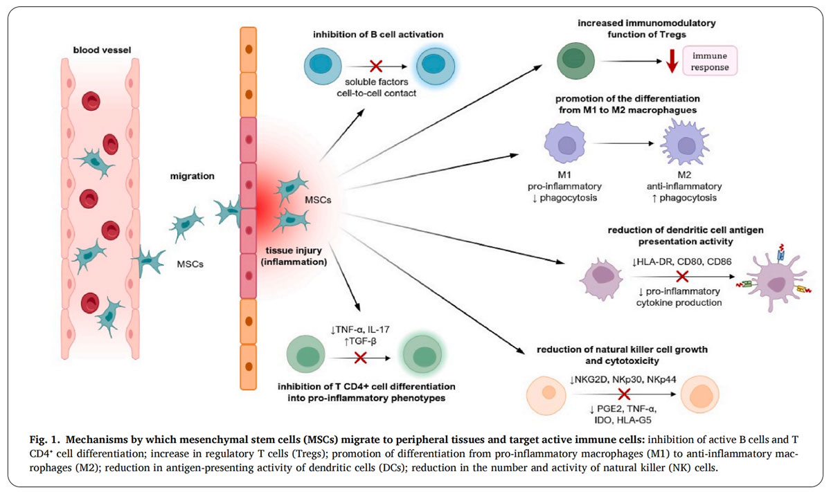 紅斑狼瘡臨床試驗