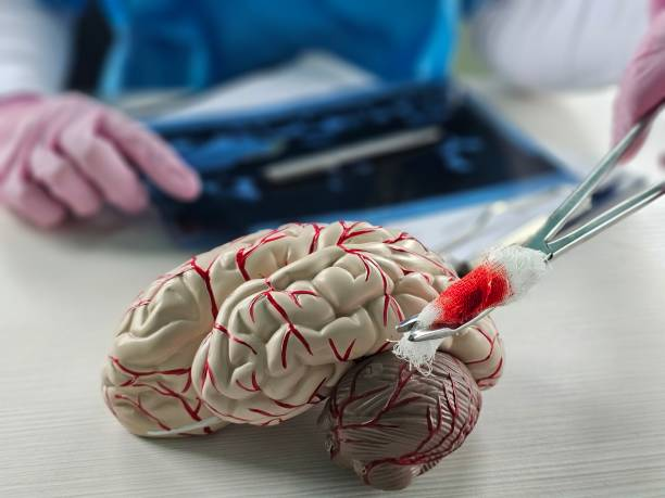 “開關(guān)現(xiàn)象”能解決?干細(xì)胞為帕金森病治療帶來新希望 “開關(guān)現(xiàn)象”能解決?干細(xì)胞為帕金森病治療帶來新希望