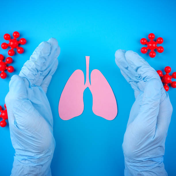 間充質干細胞用于治療三大肺部疾病：重點關注其免疫調節作用