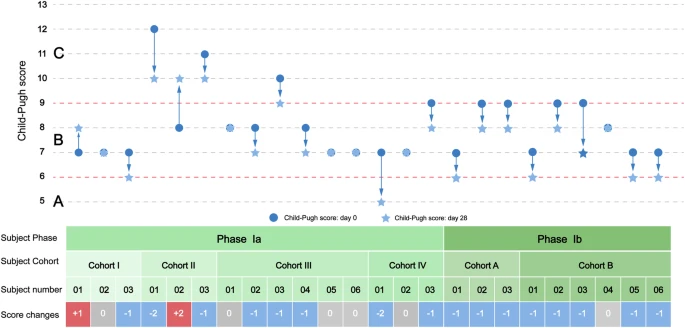 圖1：從基線到第28天，個人Child-Pugh評分的變化。