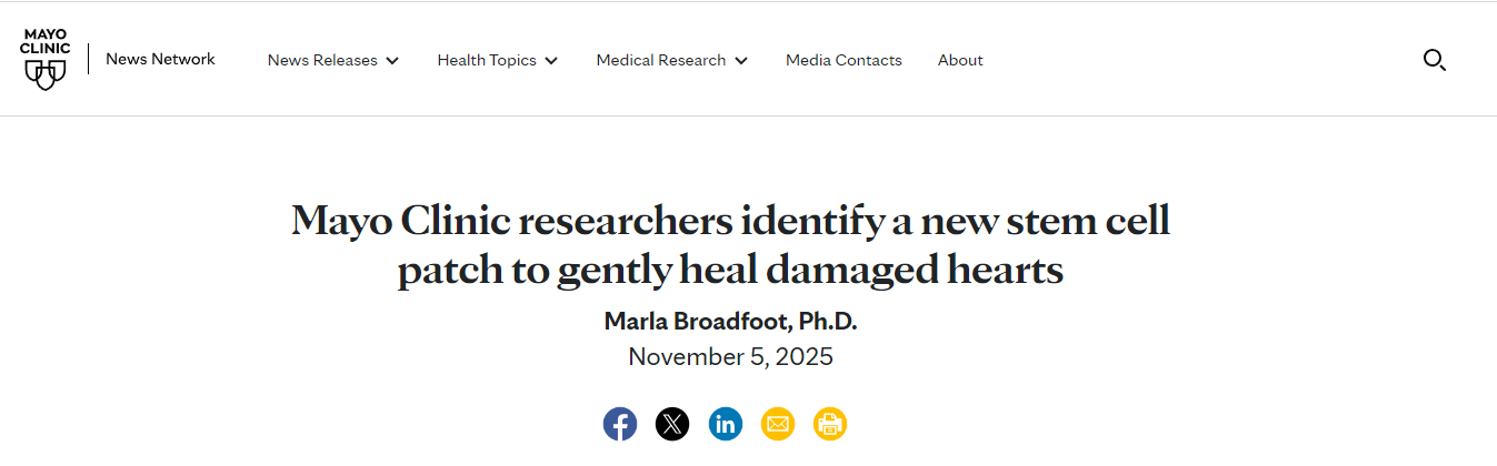 梅奧診所的研究人員發(fā)明了一種新型干細胞貼片，可以溫和地修復(fù)受損心臟