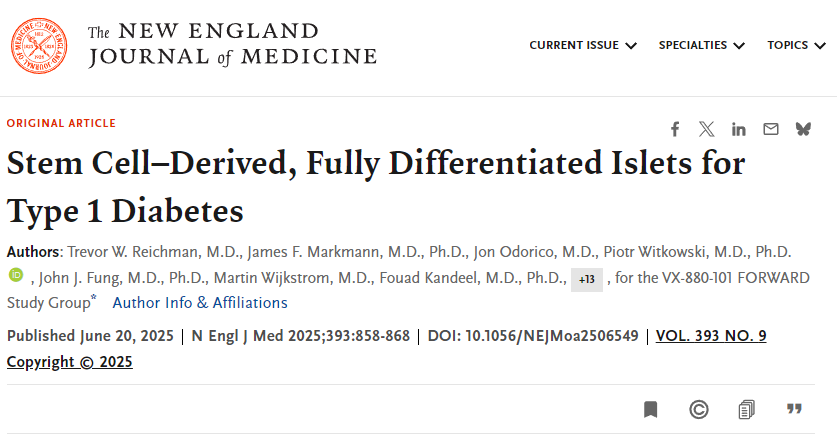 干細(xì)胞來源的完全分化胰島用于1型糖尿病治療