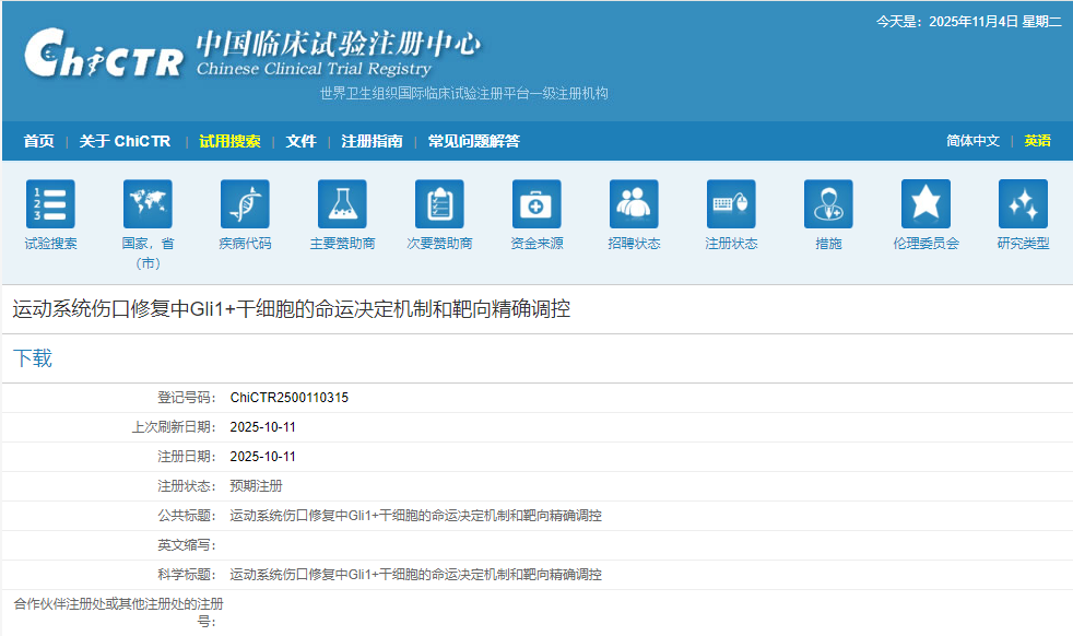 運動系統傷口修復中Gli1+干細胞的命運決定機制和靶向精確調控