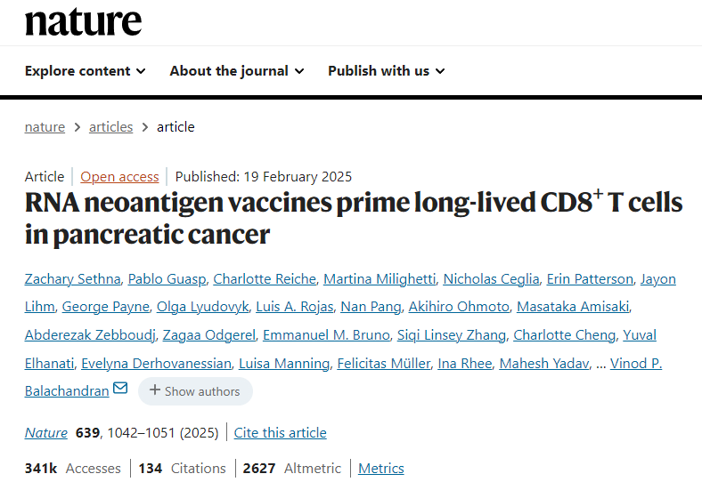 RNA新抗原疫苗可激活胰腺癌中的長壽命CD8 + T細(xì)胞 RNA新抗原疫苗可激活胰腺癌中的長壽命CD8 + T細(xì)胞