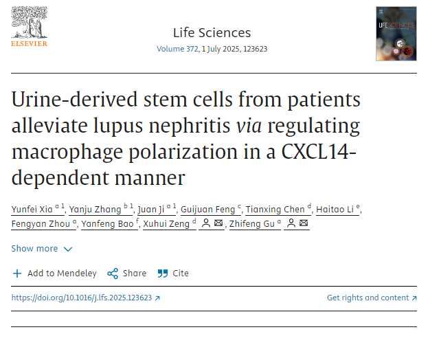 患者尿液來源的干細(xì)胞通過CXCL14依賴性方式調(diào)節(jié)巨噬細(xì)胞極化，從而緩解狼瘡性腎炎