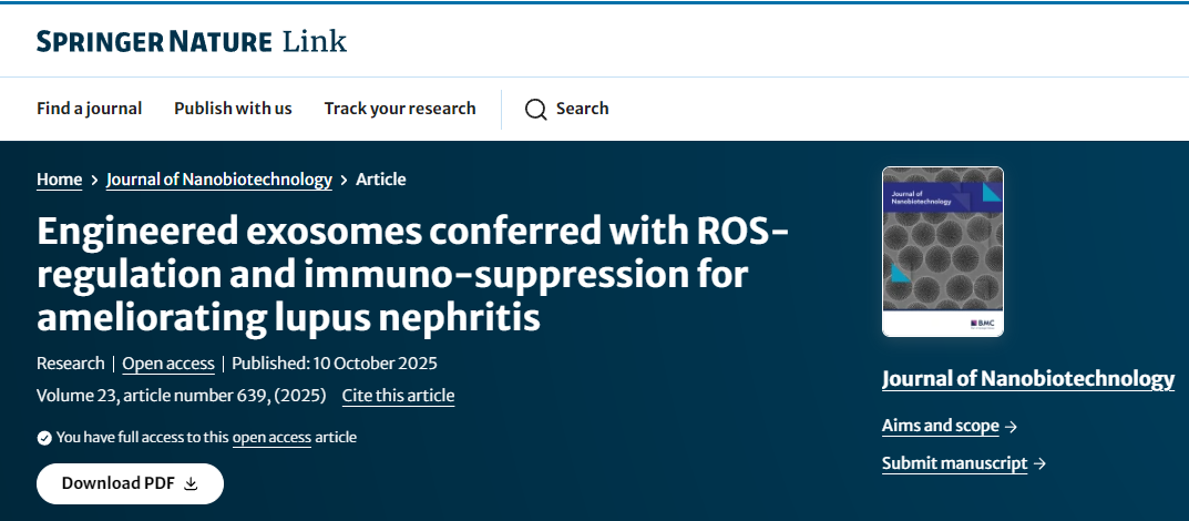 工程化外泌體通過調(diào)節(jié)活性氧和免疫抑制作用改善狼瘡性腎炎