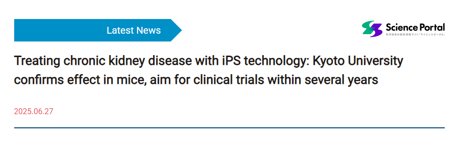 利用iPS技術治療慢性腎病:京都大學證實其在小鼠身上有效,計劃在幾年內開展臨床試驗 利用iPS技術治療慢性腎病:京都大學證實其在小鼠身上有效,計劃在幾年內開展臨床試驗